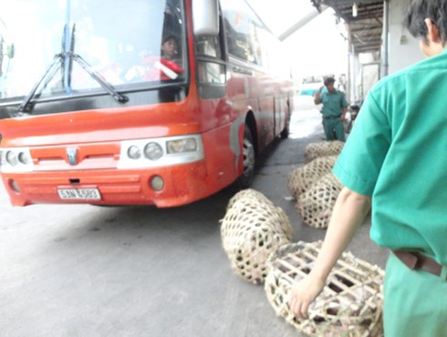 Bắt 4 xe khách tuồn thịt “bẩn” vào thành phố dịp nghỉ lễ