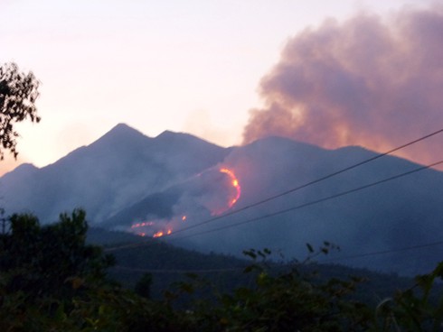 Khẩn cấp phòng chống cháy rừng