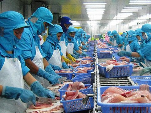 Bianfishco khỏi động lại nhà máy sản xuất cá tra