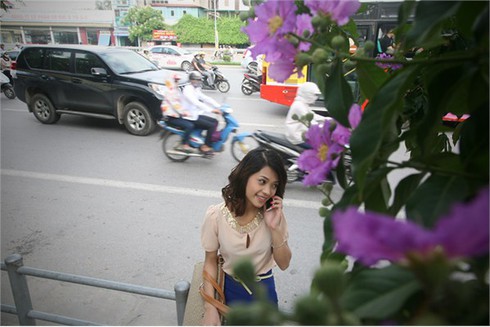 Bằng Lăng tím ngắt đón hè