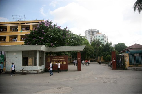 Bằng Lăng tím ngắt đón hè