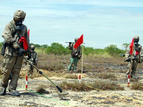 Sẽ có cơ quan chuyên trách ứng phó thảm hoạ