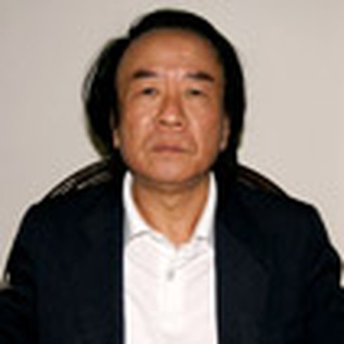 Cầu vượt nhẹ: Hà Nội chuộng, các nước chê?