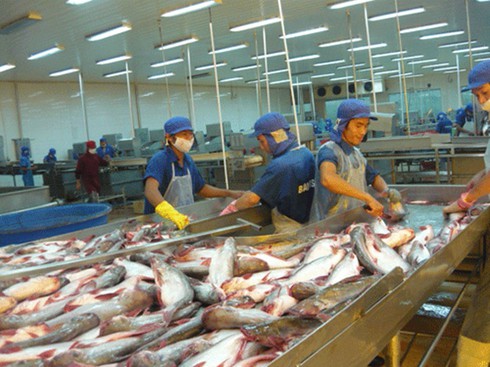 Nông dân yêu cầu mở thủ tục phá sản đối với Bianfishco