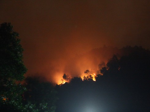 Cháy lớn thiêu rụi hàng chục ha rừng trồng