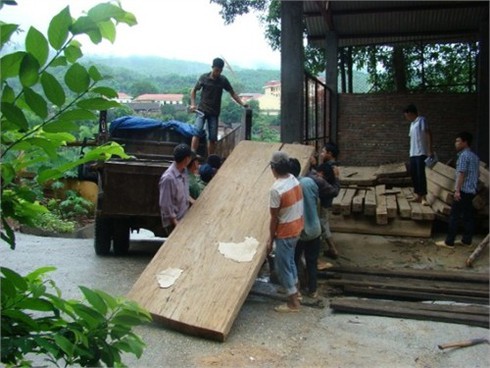 Rừng đặc dụng Na Hang: Tan hoang vì bị lâm tặc tàn phá