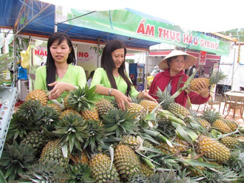 Hậu Giang: Khóm Cầu Đúc liên tục rớt giá