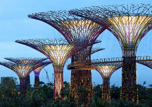 Ngắm khu vườn “siêu cây” ở Singapore