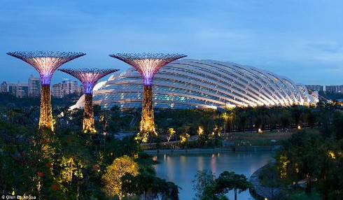 Ngắm khu vườn “siêu cây” ở Singapore