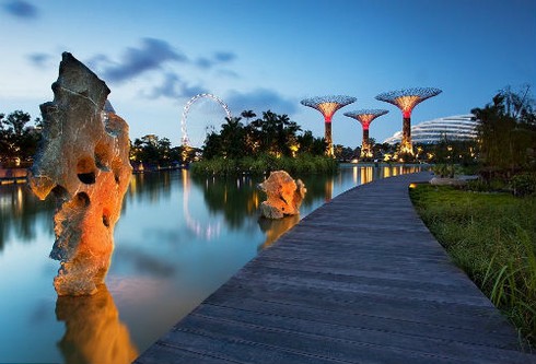 Ngắm khu vườn “siêu cây” ở Singapore