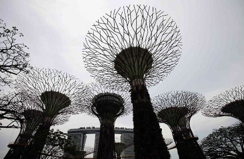Ngắm khu vườn “siêu cây” ở Singapore