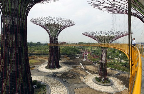 Ngắm khu vườn “siêu cây” ở Singapore