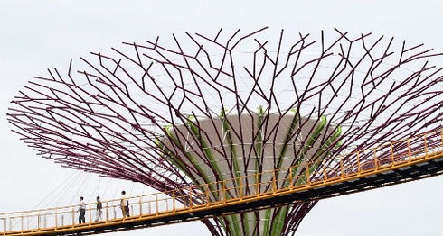 Ngắm khu vườn “siêu cây” ở Singapore