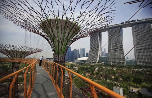 Ngắm khu vườn “siêu cây” ở Singapore