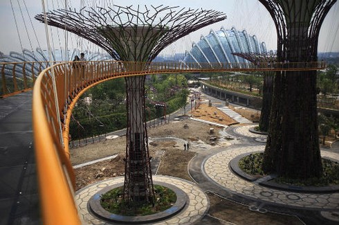 Ngắm khu vườn “siêu cây” ở Singapore