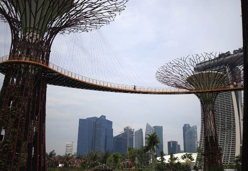 Ngắm khu vườn “siêu cây” ở Singapore