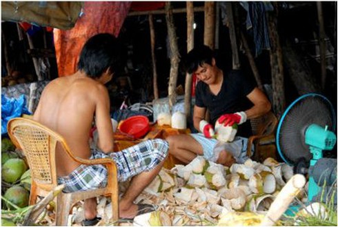 Sông Sài Gòn muôn nẻo mưu sinh