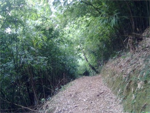 Nét phôi pha thời gian ở am Ngọa Vân