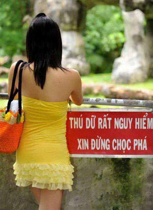 Biển báo, cảnh báo hài hước chỉ có ở Việt Nam