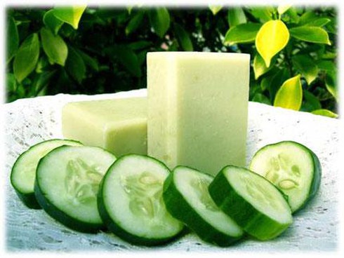 Khám phá mới về dưa leo