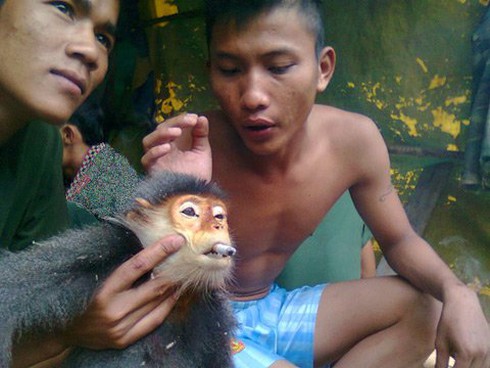 Đã xác định được kẻ tung hình ảnh giết voọc