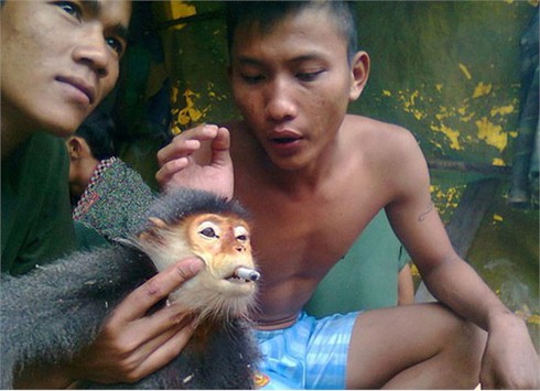 Xác định người trong ảnh giết khỉ dã man