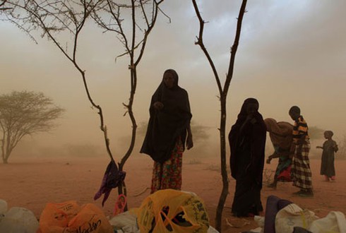 Hạn hán kinh hoàng, trại tị nạn châu Phi quá tải