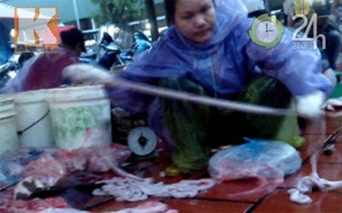 Lòng lợn, tiết canh pha nước thải