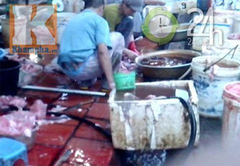 Lòng lợn, tiết canh pha nước thải