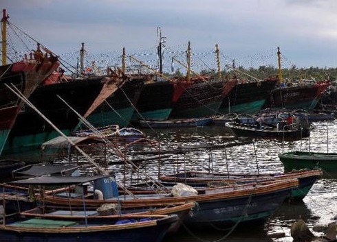Hết lệnh cấm, 9.000 tàu cá Trung Quốc lại ra biển Đông