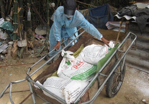 Bùng phát dịch cúm gia cầm ở Hà Tĩnh