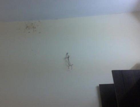 Hình ảnh thất vọng tại Dự án nhà thu nhập thấp Đặng Xá