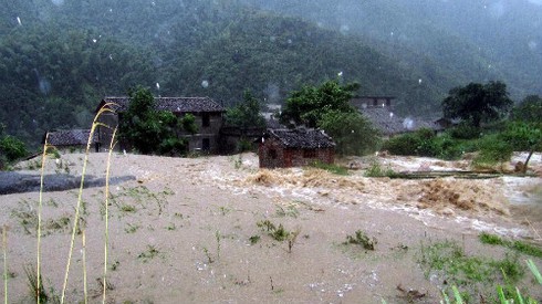 Trung Quốc sơ tán hơn 300.000 người trước bão Haikui