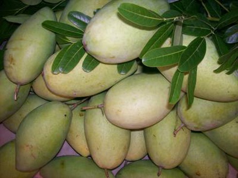 Những loại trái cây hay bị ngâm hoá chất