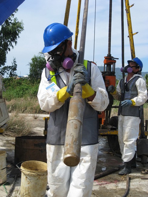 Sen vẫn nở trong điểm nhiễm độc dioxin cạnh sân bay Đà Nẵng