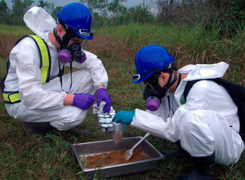 Sen vẫn nở trong điểm nhiễm độc dioxin cạnh sân bay Đà Nẵng