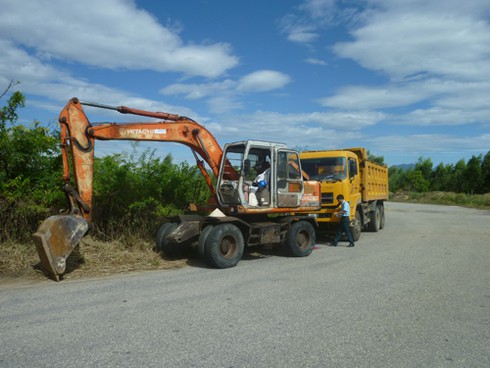 Sen vẫn nở trong điểm nhiễm độc dioxin cạnh sân bay Đà Nẵng