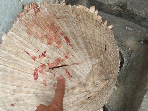 Tên cuồng sát chém gần 20 người