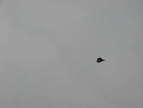 Thú chơi phi cơ mô hình