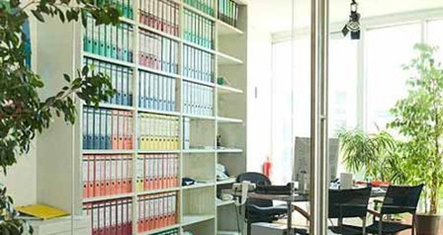 6 loại cây cảnh tốt nhất cho sức khỏe nơi làm việc