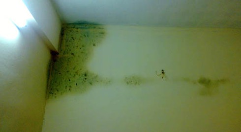 Nhà thu nhập thấp Đặng Xá vừa bàn giao đã ngấm dột, hôi mốc