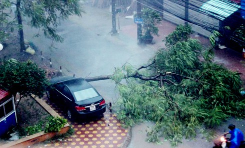Bão số 5 mạnh hơn dự báo, gây đổ cây ở Hà Nội