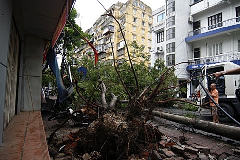 Hà Nội xác xơ sau bão số 5