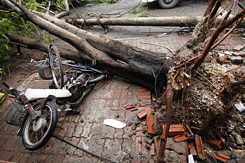 Hà Nội xác xơ sau bão số 5