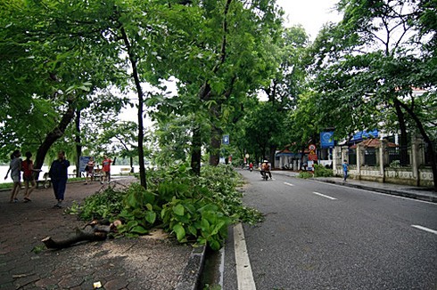 Hà Nội xác xơ sau bão số 5