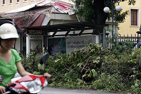 Hà Nội xác xơ sau bão số 5