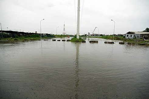 Hà Nội xác xơ sau bão số 5