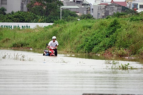 Hà Nội xác xơ sau bão số 5