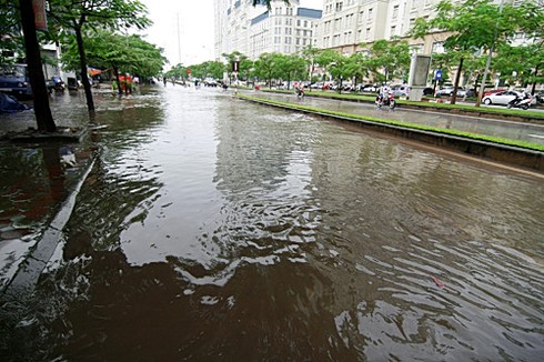 Hà Nội xác xơ sau bão số 5