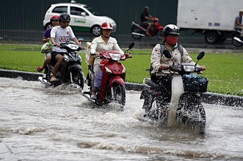 Hà Nội xác xơ sau bão số 5